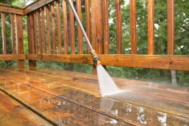 Best Sidewalk Pressure Washing  in Dudley, NC