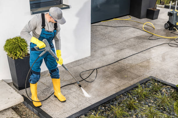 Best Pressure Washing Near Me  in Dudley, NC